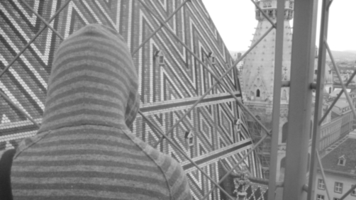 Image of the back of a head